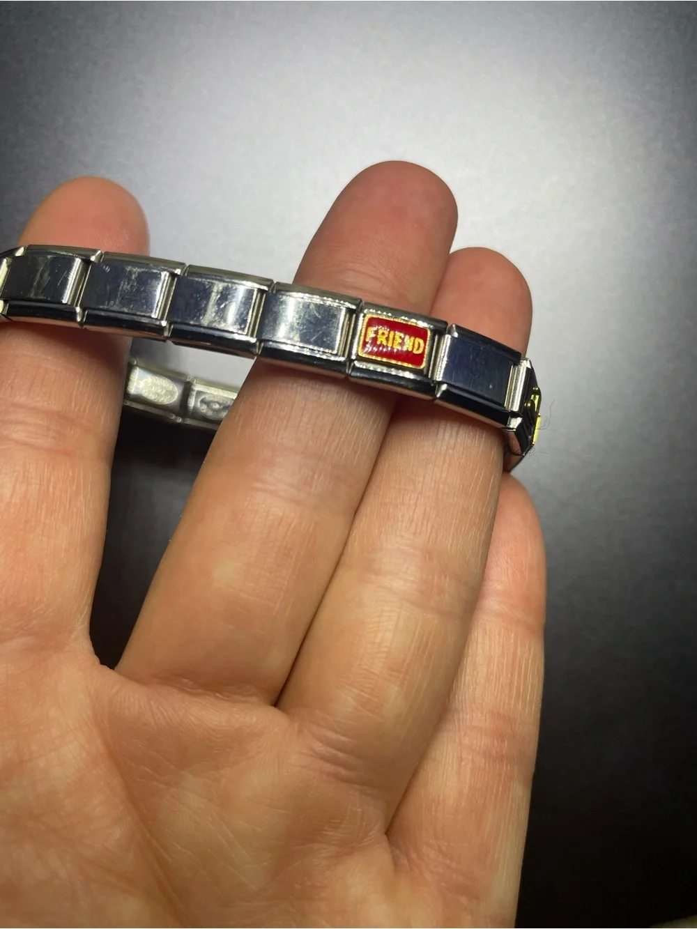Jill Friend Oregon Stainless Steel Link Bracelet